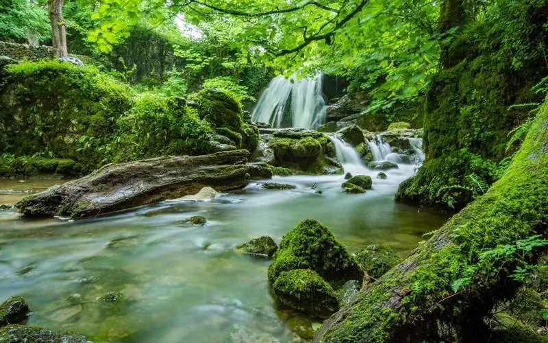 高标准高质量